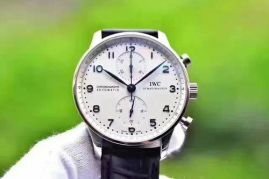 Picture of IWC Watch _SKU1591853056601528